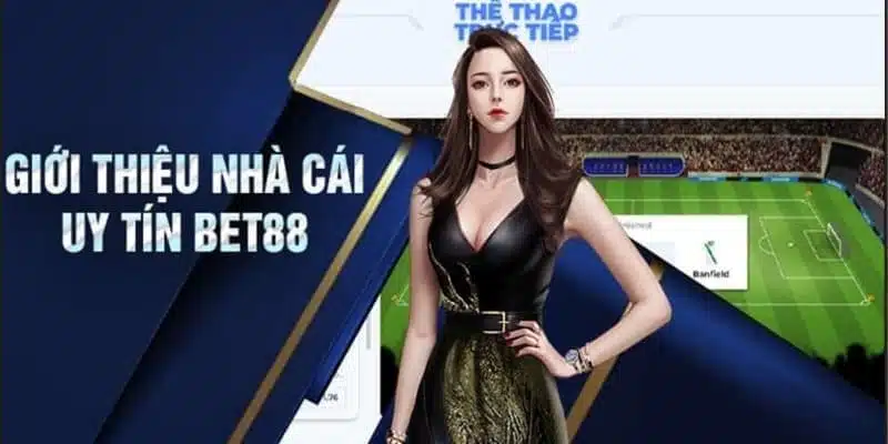 Sơ lược những dữ liệu chung về nhà cái BET88 cho newbie